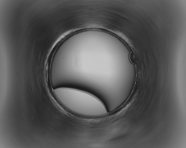 X0000086801126200704130854