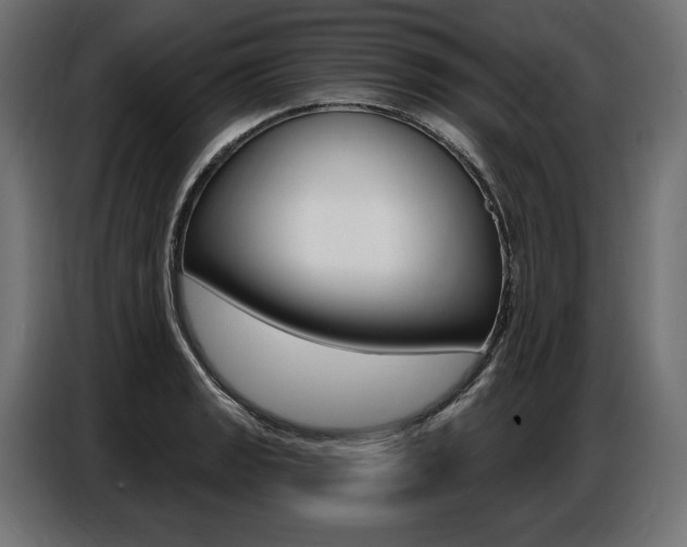 X0000086801133200704130855