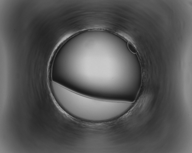 X0000086801135200704130855