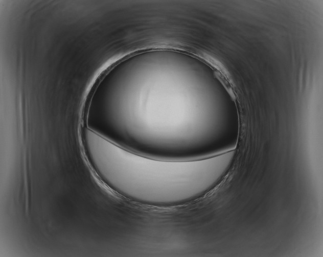 X0000086801136200704130855