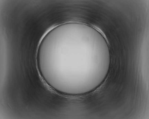 X0000086801138200704130855
