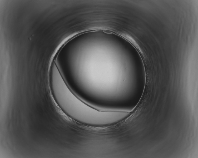 X0000086801140200704130855