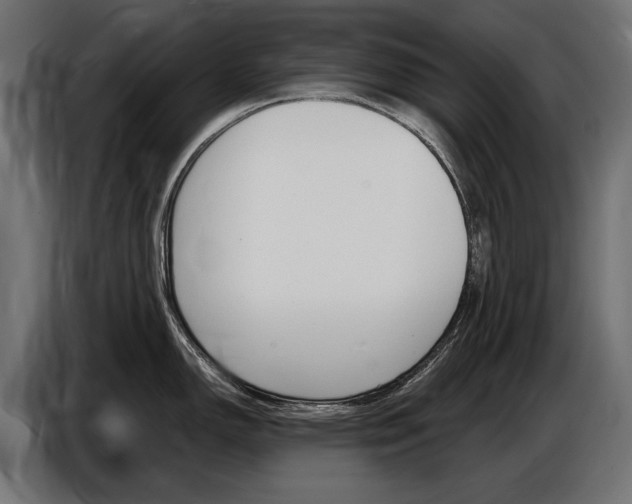 X0000086801150200704130855