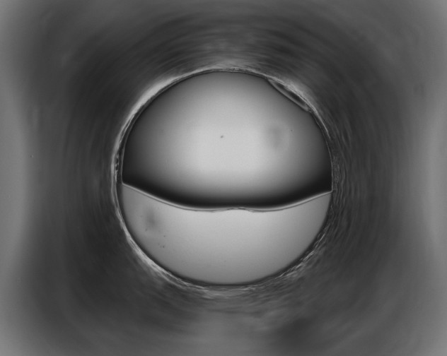 X0000086801151200704130855