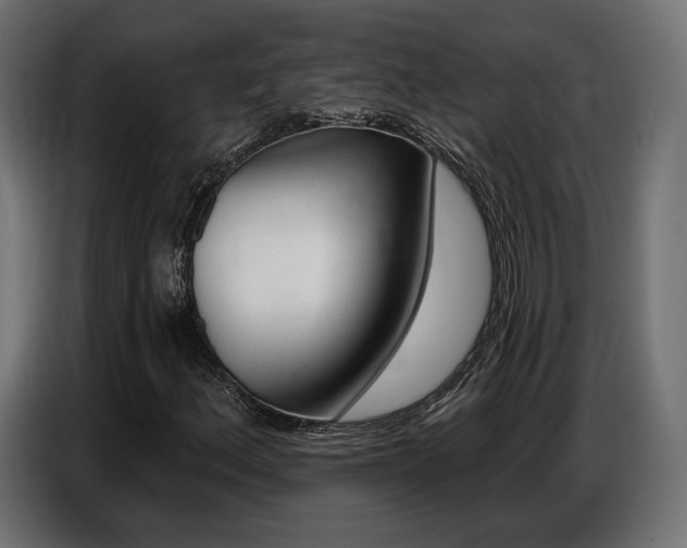 X0000086801156200704130854