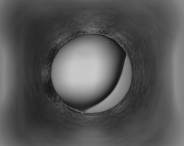 X0000086801157200704130854