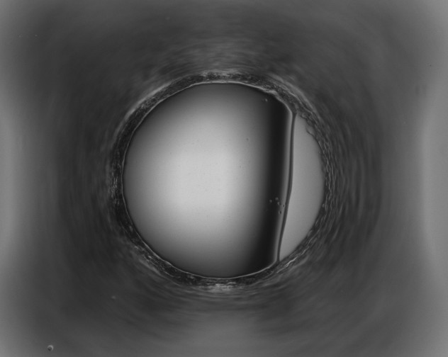 X0000086801160200704130854