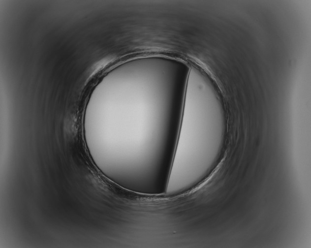 X0000086801163200704130854