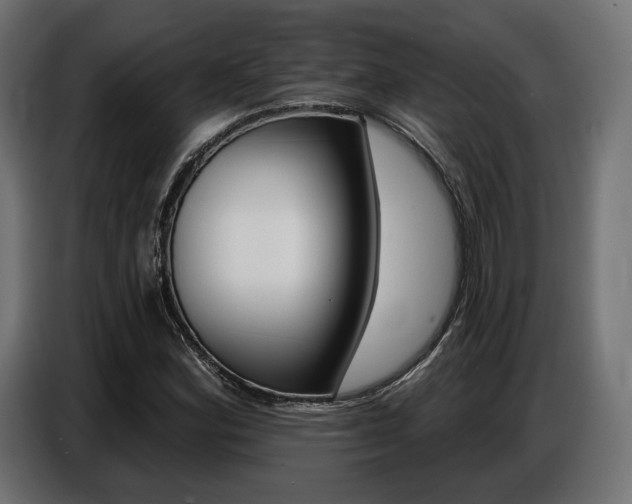 X0000086801164200704130854