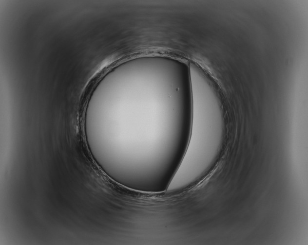 X0000086801165200704130854