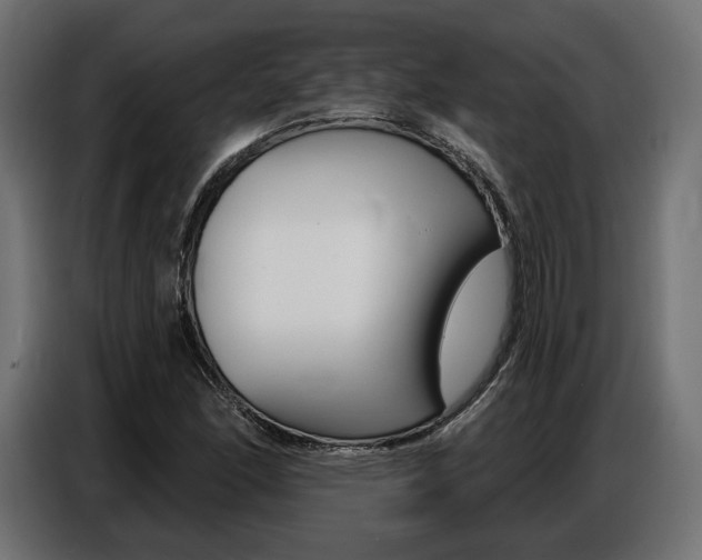 X0000086801166200704130854