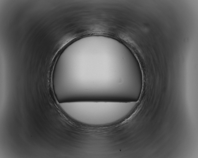 X0000086801170200704130854