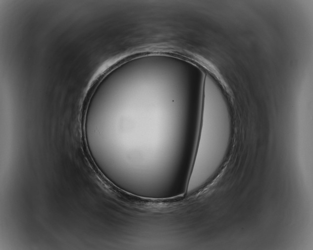 X0000086801176200704130854