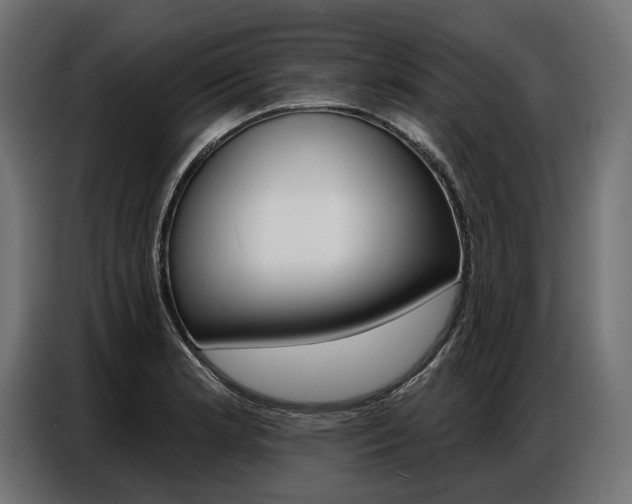 X0000086801181200704130854