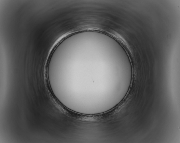 X0000086801182200704130854