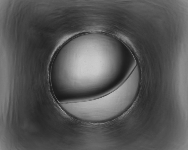 X0000086801184200704130854