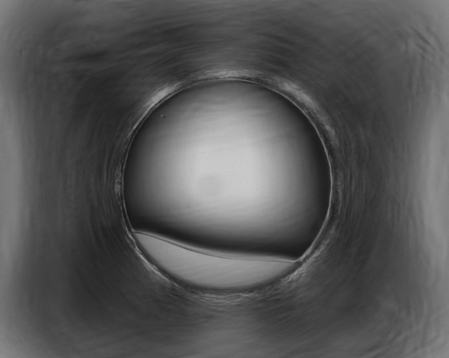 X0000086801185200704130854