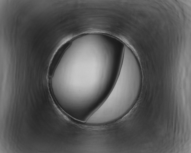 X0000086801189200704130854