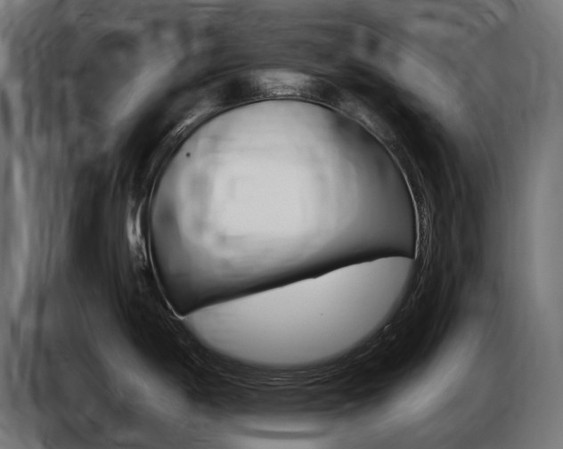 X0000086801198200704130854