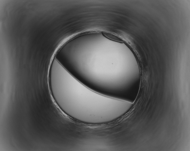 X0000086801199200704130854