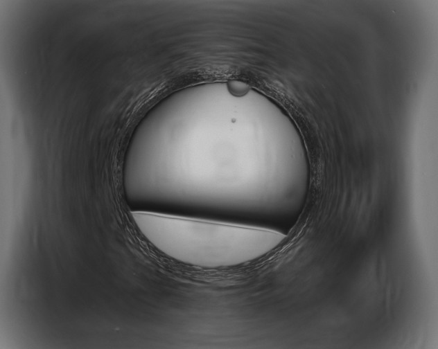 X0000086801201200704130853