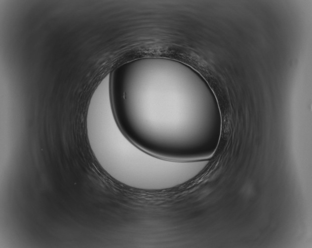 X0000086801202200704130853