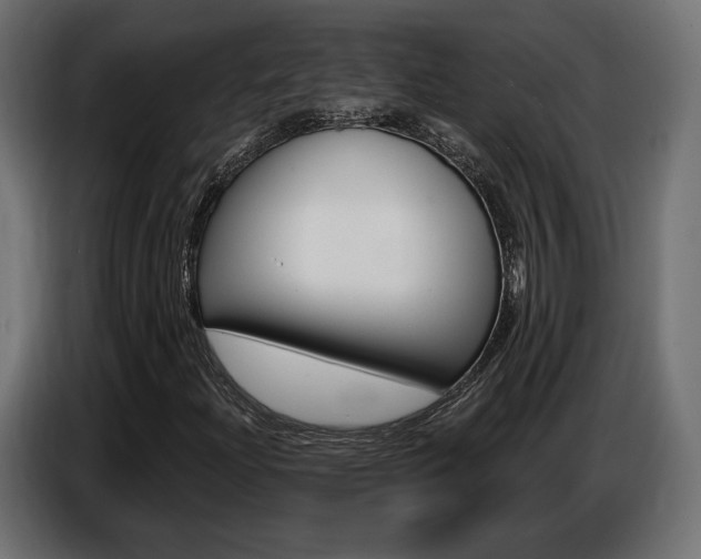 X0000086801204200704130853