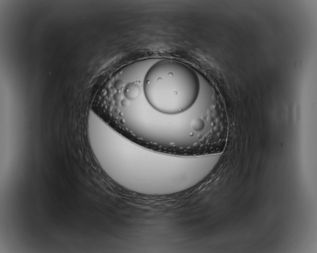 X0000086801205200704130853