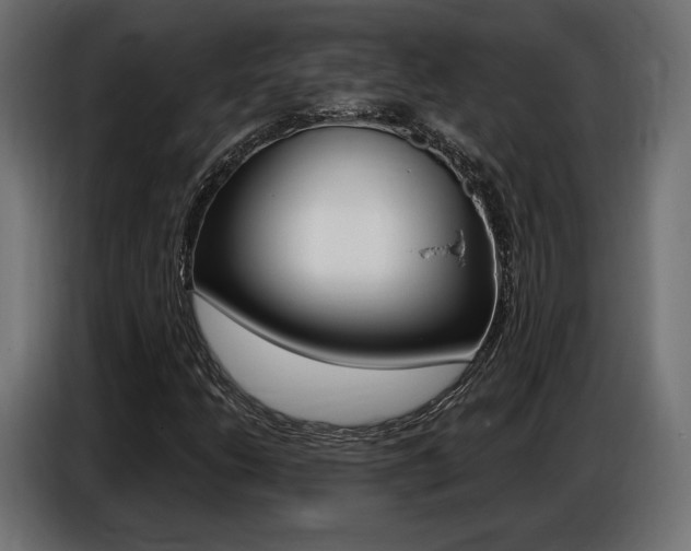 X0000086801206200704130853