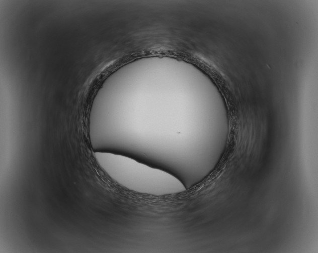X0000086801207200704130853