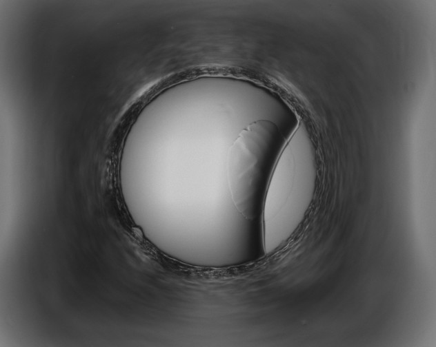 X0000086801208200704130853