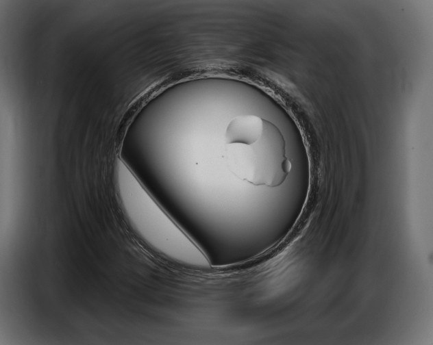 X0000086801209200704130853