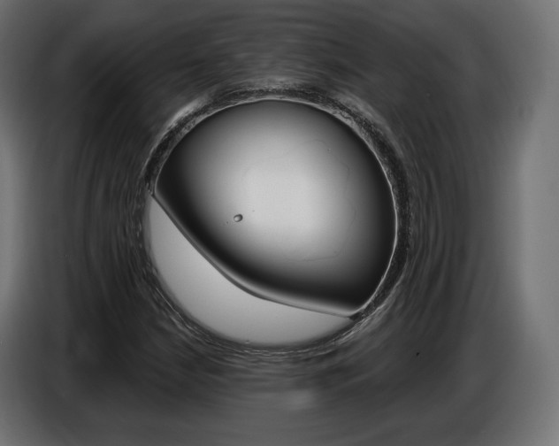 X0000086801210200704130853