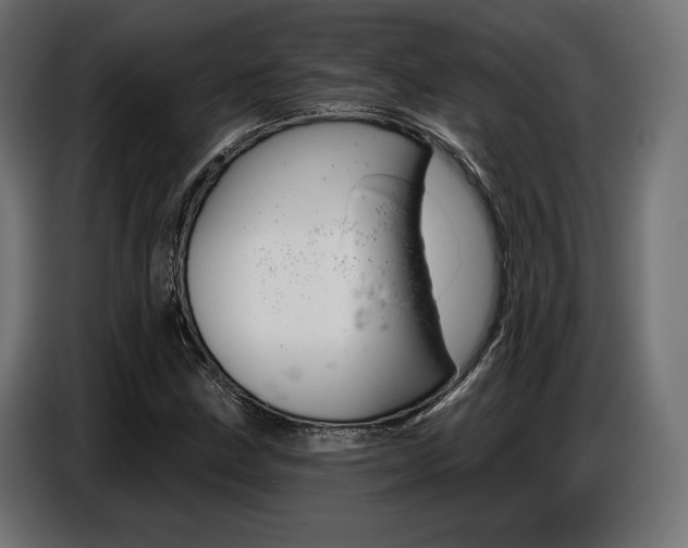 X0000086801211200704130853