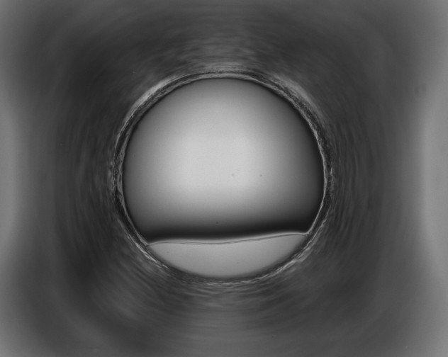 X0000086801212200704130853