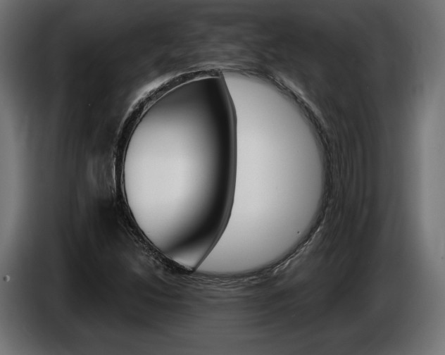 X0000086801214200704130853