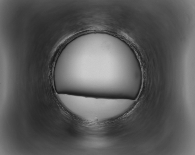 X0000086801215200704130853