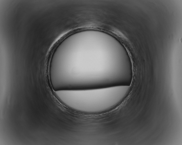 X0000086801216200704130853