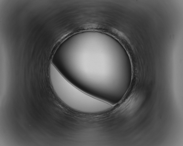 X0000086801217200704130853