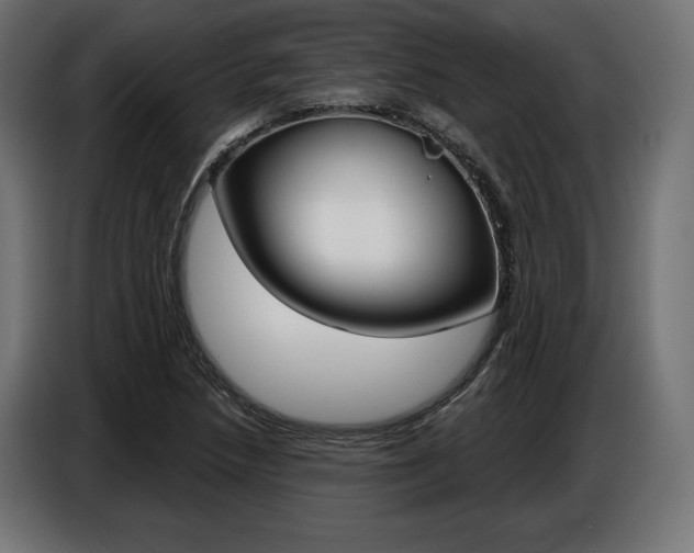 X0000086801218200704130853