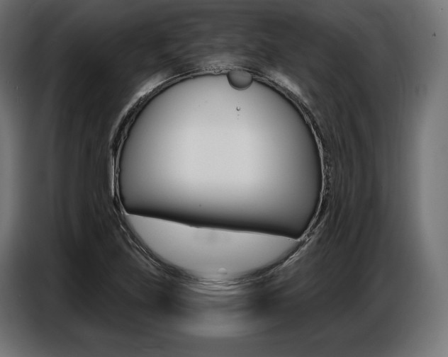 X0000086801219200704130853