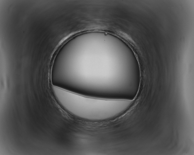 X0000086801220200704130853