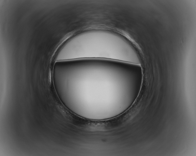 X0000086801221200704130853