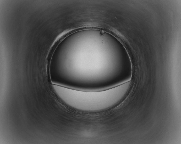 X0000086801222200704130853