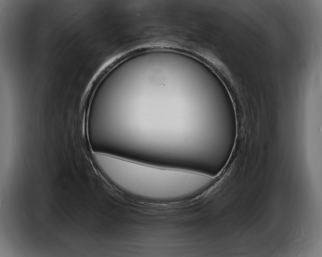 X0000086801224200704130853