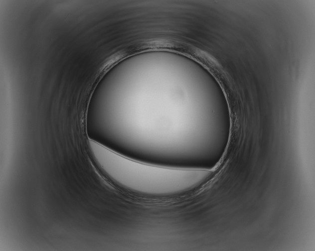 X0000086801225200704130853