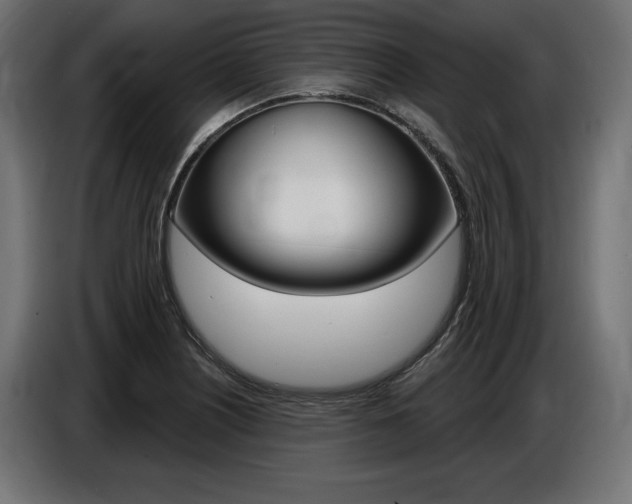 X0000086801226200704130853