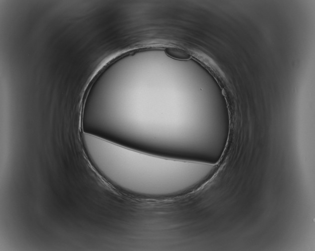 X0000086801228200704130853
