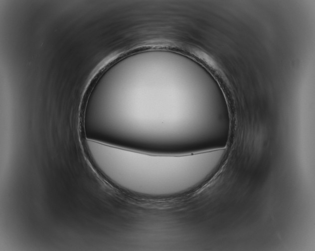 X0000086801229200704130853