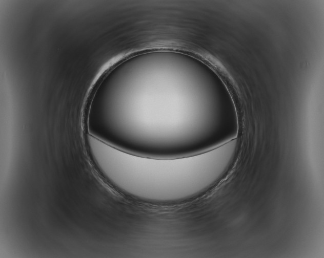 X0000086801230200704130853